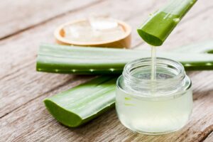 Aloe Vera - Nature's Healing Gift