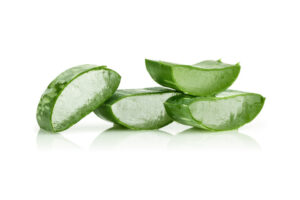 Aloe Vera - Natures Healing Gift
