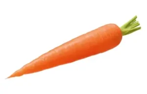 Carrot