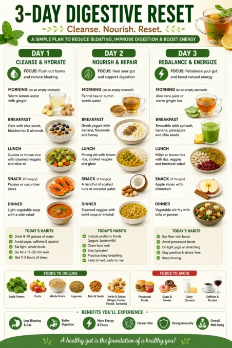 Natural Remedies for Digestive Problems 8 3 day digestive reset infographic with healthy foods herbal teas hydration and digestion support tips