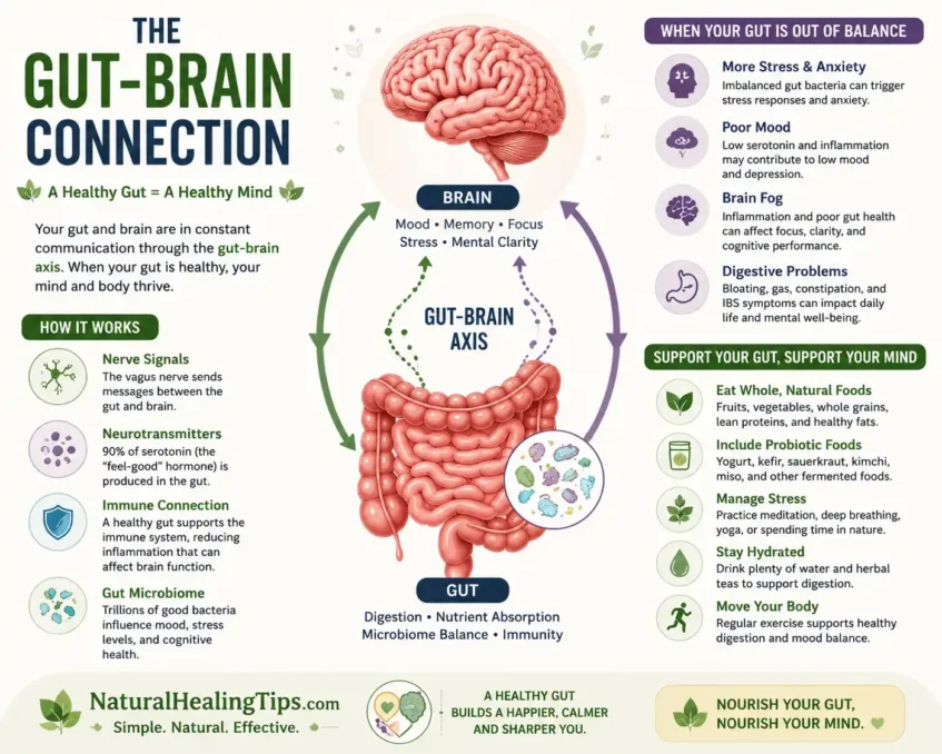 Natural Remedies for Digestive Problems 2 Gut Health Foods for Better Digestion infographic showing the gut-brain connection between digestion, stress, mood, immunity, and mental wellness