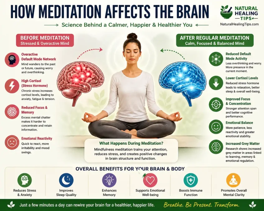 Mindfulness meditation for beginners brain effects infographic showing reduced cortisol improved focus and emotional balance