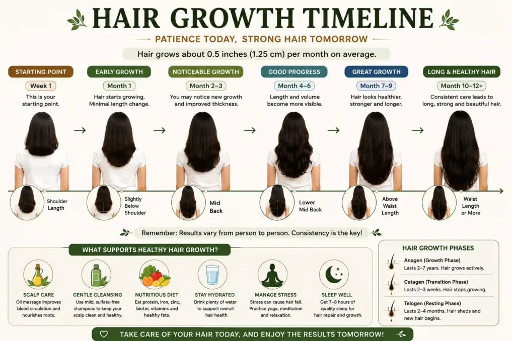 Hair growth recovery timeline infographic showing gradual improvement in scalp health reduced shedding and stronger hair over several months