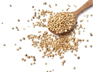 coriander seeds used to make coriander water for body heat